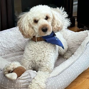 Meet your Posher, Deanna